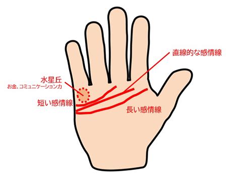 第二感情線|感情線の意味は？右手左手・二本・切れてる・フィッ。